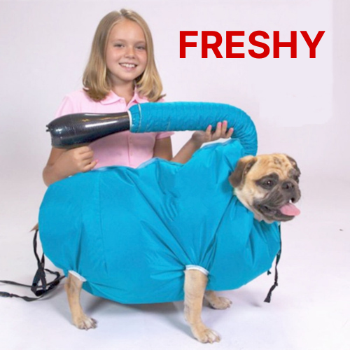 FRESHY - Dogs Hair Dryer